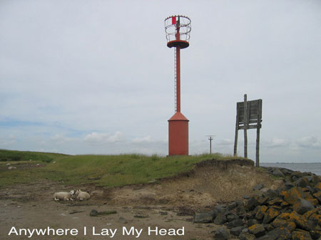 two sheeps resting on the silt near the beacon at the zijpe_title: anywhere i lay my head