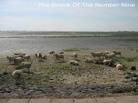 at the end of the lange weg near bruinisse, at the other side of the dike, sheeps are standing on the silts_title: the wreck of the number nine