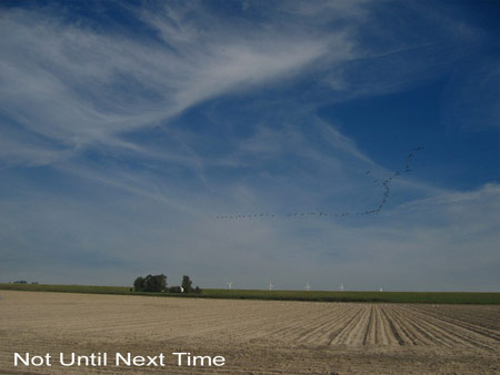 watching the bird flight to the south, me having heart aches,  the lange weg near bruinisse_title: not until next time